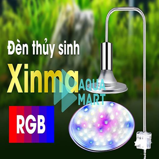 Đèn Xinma 40w RGB 3