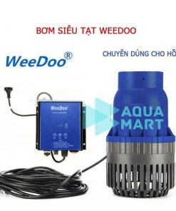 Máy Bơm Hồ Koi Điện 1 Chiều 24V WeeDoo DCP 16000 – 22000 – 32000 6