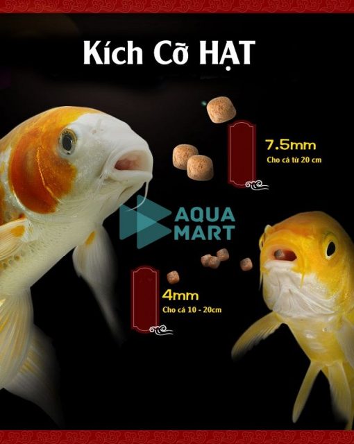 Thức Ăn Cá Koi Aqua master Wheatgerm (Hạt nổi) 5